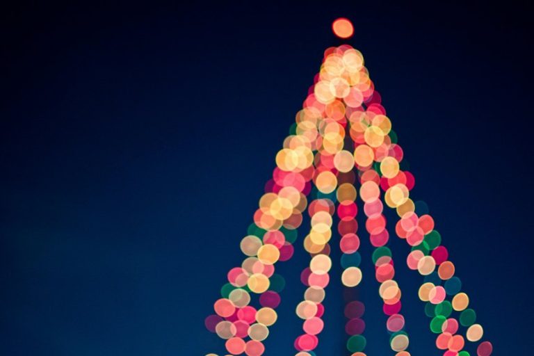 fort myers winter lights