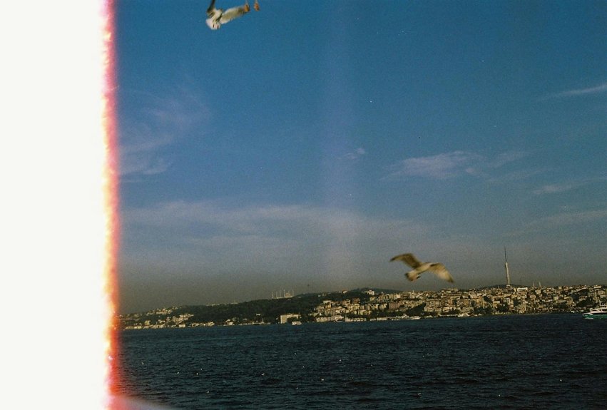 horror movie venues fort myers