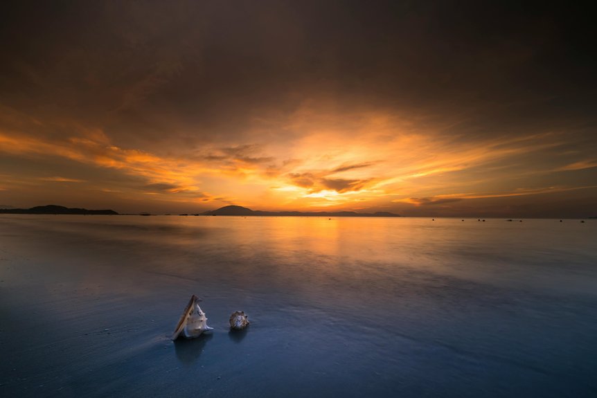 shell collecting paradise awaits