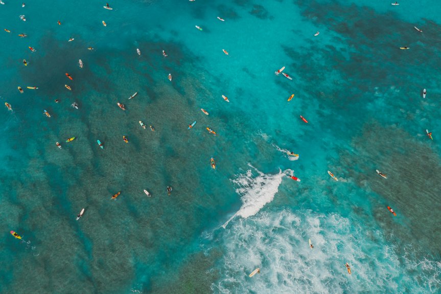 top paddleboarding locations sanibel