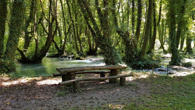 winter picnic locations fort myers