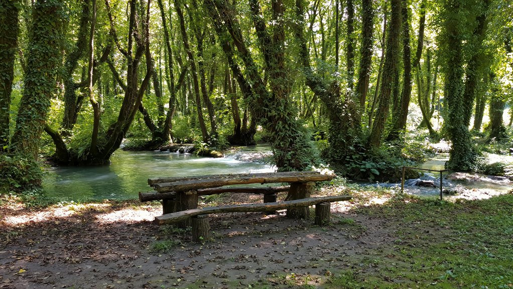 winter picnic locations fort myers